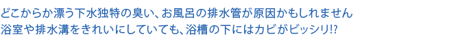 どこからか漂う下水独特の臭い、お風呂の排水管が原因かもしれません 浴室や排水溝をきれいにしていても、浴槽の下にはカビがビッシリ!?