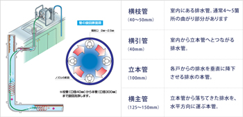 一般的な排水管レイアウト例